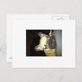 Bulldogge Postkarte (Vorne/Hinten)