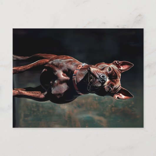 Bulldogge Postkarte (Vorderseite)