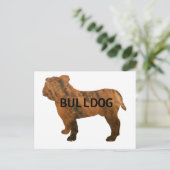 Bulldogge Postkarte (Stehend Vorderseite)