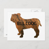 Bulldogge Postkarte (Vorne/Hinten)