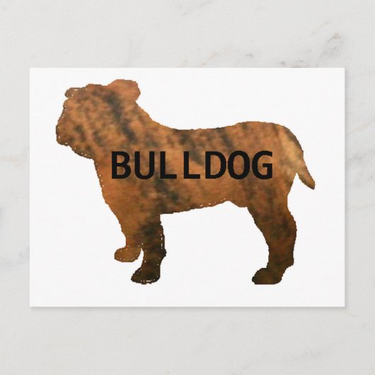 Bulldogge Postkarte (Vorderseite)