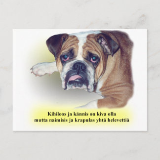Bulldogge Postkarte
