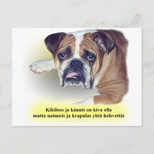 Bulldogge Postkarte (Vorderseite)
