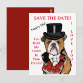 Bulldogge postkarte (Vorne/Hinten)