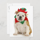 Bulldogge Postkarte (Vorne/Hinten)