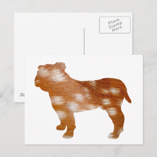 Bulldogge Postkarte (Vorne/Hinten)
