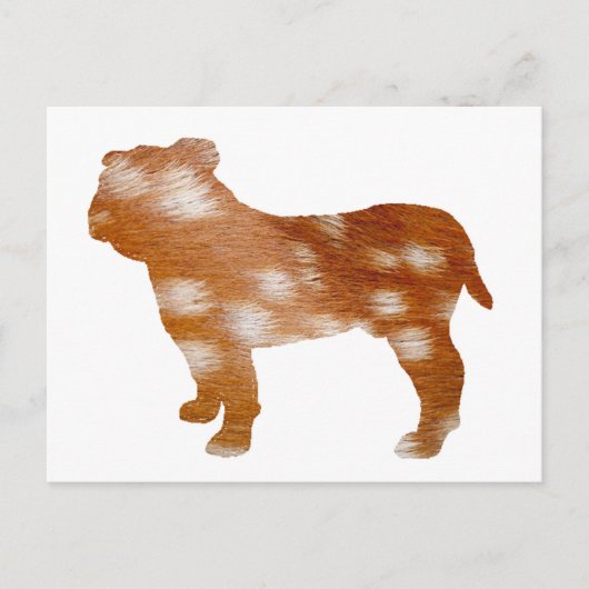 Bulldogge Postkarte (Vorderseite)