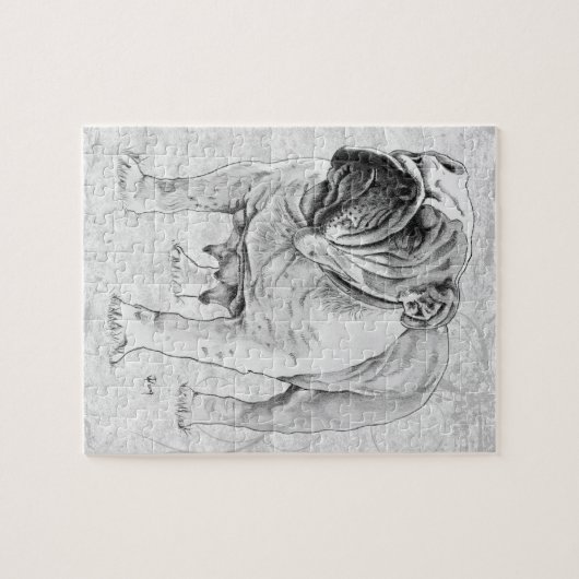 Bulldogge Puzzle (Horizontal)