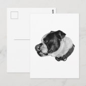Bulldogge Ruhige Post Postkarte (Vorne/Hinten)
