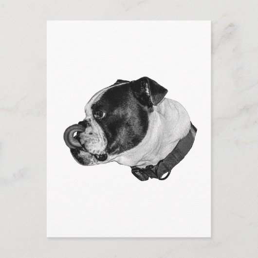 Bulldogge Ruhige Post Postkarte (Vorderseite)