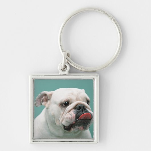 Bulldogge Schlüsselanhänger (Vorne)