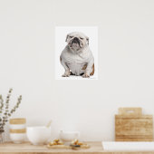 Bulldogge, sitzend poster (Küche)