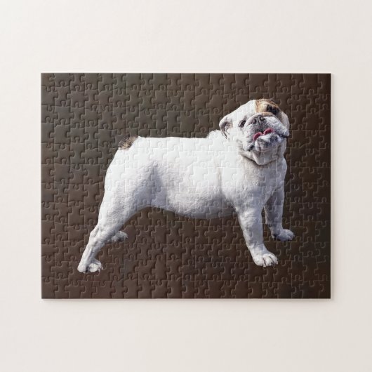 Bulldogge steht stolz aufrecht puzzle (Horizontal)