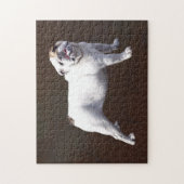 Bulldogge steht stolz aufrecht puzzle (Vertikal)