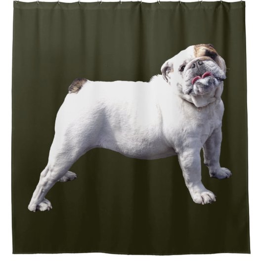 Bulldogge steht stolz duschvorhang (Vorderseite)