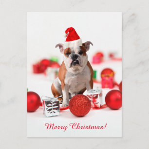 Bulldogge Weihnachtsschmuck Geschenkboxen Rote Wei Feiertagspostkarte
