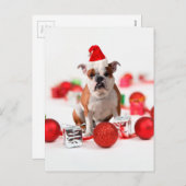 Bulldogge Weihnachtsschmuck Geschenkboxen Rote Wei Feiertagspostkarte (Vorne/Hinten)