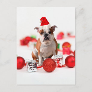 Bulldogge Weihnachtsschmuck Geschenkboxen Rote Wei Feiertagspostkarte