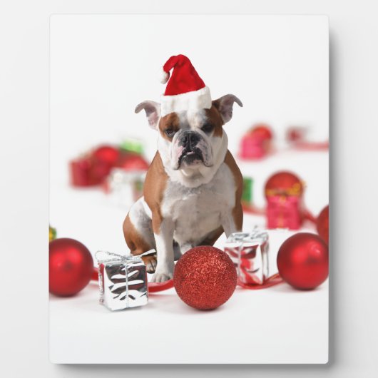 Bulldogge Weihnachtsschmuck Geschenkboxen Rote Wei Fotoplatte (Vorderseite)