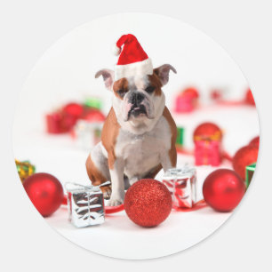 Bulldogge Weihnachtsschmuck Geschenkboxen Rote Wei Runder Aufkleber