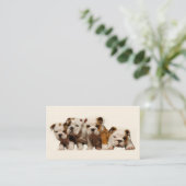 Bulldoggen-Brüter-Visitenkarte Visitenkarte (Stehend Vorderseite)