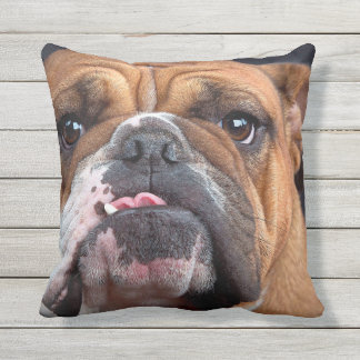 BULLDOGGEN-GESICHTS-FOKUS KISSEN FÜR DRAUßEN