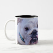 Bulldoggen-Kaffee-Tasse Zweifarbige Tasse (Links)