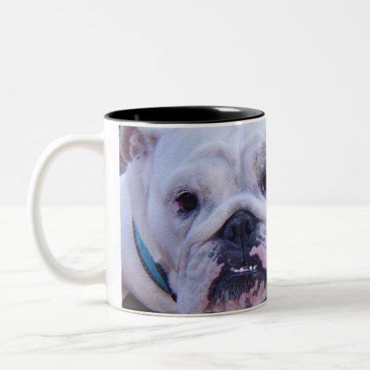 Bulldoggen-Kaffee-Tasse Zweifarbige Tasse (Links)
