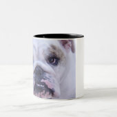 Bulldoggen-Kaffee-Tasse Zweifarbige Tasse (Mittel)