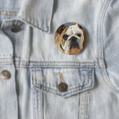Bulldoggen-Knopf Button (Beispiel)