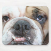 Bulldoggen-Mausunterlage Mousepad (Vorne)