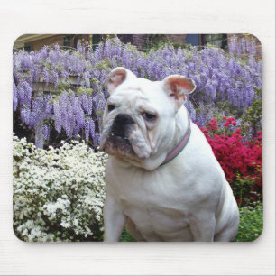 Bulldoggen- und GlyzinieMausunterlage Mousepad