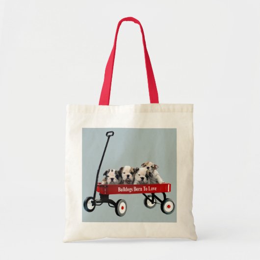Bulldoggen-Welpen in der Lastwagen-Taschen-Tasche Tragetasche (Vorne)