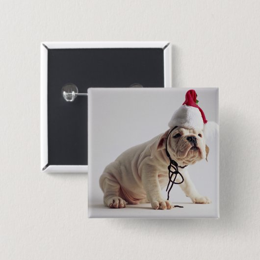 Bulldoggen-Welpen-tragende Weihnachtsmannmütze Button (Vorne & Hinten)