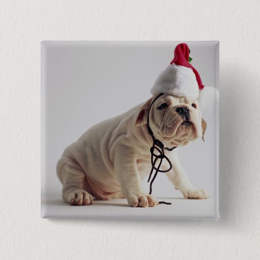 Bulldoggen-Welpen-tragende Weihnachtsmannmütze Button (Vorderseite)