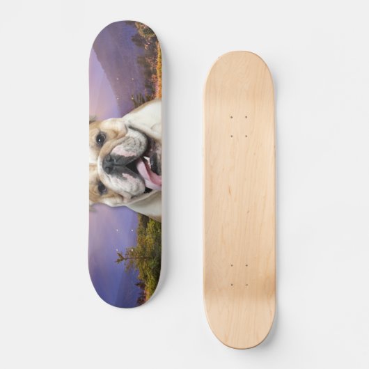 Bulldoggen-Wiese Skateboard (Vorderseite)