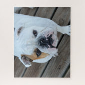 Bulldoggesicht Puzzle (Vertikal)