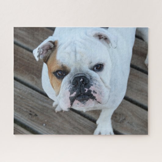 Bulldoggesicht Puzzle (Horizontal)