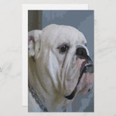 Bulldogin Briefpapier (Vorne/Hinten)