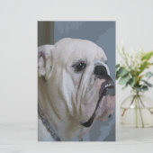Bulldogin Briefpapier (Stehend Vorderseite)