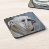 Bulldogin Getränkeuntersetzer (Linke Seite)