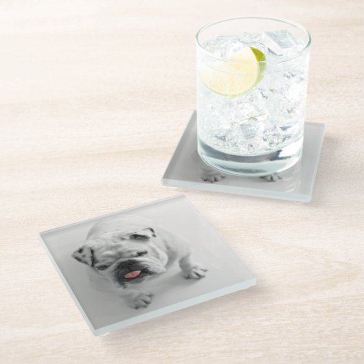 Bulldogin Glasuntersetzer (Schrägansicht)