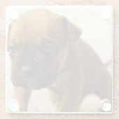 Bulldogin Glasuntersetzer (Rückseite)