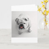 Bulldogin Karte (Gelbe Blume)