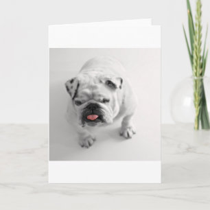 Bulldogin Karte