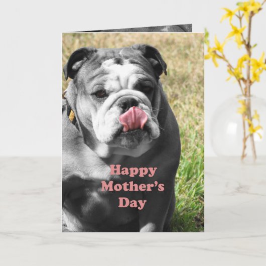 Bulldogin Karte (Gelbe Blume)