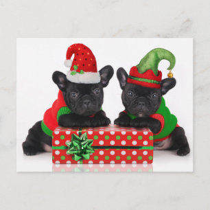Bulldogin mit Weihnachtsgeschenk Feiertagspostkarte