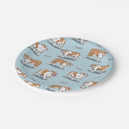 Bulldogin Pappteller (Schrägansicht)