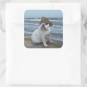 Bulldogin Quadratischer Aufkleber (Tasche)