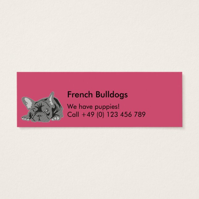 Bulldogs (Rückseite)